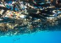 Foto-foto Ini Buktikan Jumlah Sampah Plastik di Laut Sudah Tak Terhingga, Miris!