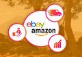 Begini Cara Halus Amazon Curi Data Pengguna eBay, Rayu Pelapaknya