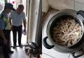 Pulang dari Pasar Bawa Usus Ayam, Pria Ini Terkejut Digrebek Polisi, Lebih Terkejut Lagi Mengetahui Kenyataan di Balik Usus Ayam Itu