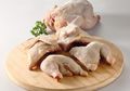 Segera Hindari! Kesalahan Sepele Ini Bikin Daging Ayam Cepat Busuk dan Berbau!