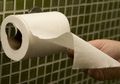 Agar Terhindar Dari Kuman, Begini Cara Tepat Menggantung Tisu Toilet