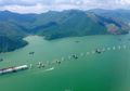 Bukan di China, Jembatan Terpanjang di Dunia Ternyata Ada di Hong Kong