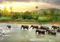 Lonely Planet: Sri Lanka Negara Terbaik Untuk Dikunjungi Pada 2019