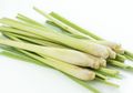 8 Manfaat Serai Untuk Kesehatan dan Kecantikan Tubuh, Moms Harus Tahu!