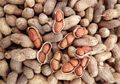 Sering Jadi Camilan, Kacang Tanah Ternyata Mampu Atasi Penyakit Mematikan Ini Lebih Baik dari Obat! Simak Faktanya