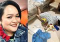 Meski Masih Diinfus, Sinyorita Esperanza 'Nekat' Lakukan Falling Stars Challenge!