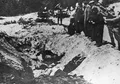 Pembantaian di Babi Yar, Bukti Kekejaman Nazi Pada Yahudi Soviet