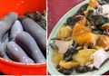 Makanan Mentah 'Menjijikkan' Ini Malah Jadi Favorit, Bahayakah Bagi Kesehatan?