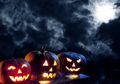 Asal-usul dan Sejarah Halloween: Ketika Orang Irlandia Berimigrasi ke Amerika