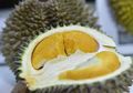 Ibu Hamil Dilarang Makan Durian, Mitos atau Fakta? Simak Penjelasannya Menurut Para Aali