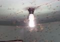 Laron Memiliki Kebiasaan Mengerubuti Lampu, Ternyata Alasan Dibaliknya Menyedihkan!