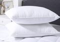 Jangan Lagi Tidur Tanpa Bantal, Dampak Buruknya Tak Main-main!