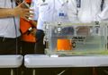 Black Box Lion Air Ditemukan, Ngerinya Detik-detik Sebelum Pesawat Jatuh Terungkap
