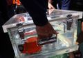 Misteri Percakapan Pilot Sebelum Lion Air JT 610 Jatuh Terungkap dari Data Black Box : Avionik Pesawat Alami Malfungsi