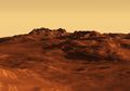 NASA Temukan Tumbuhan Berikut Ini Bisa Bertahan di Planet Mars