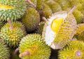 Durian Ternyata Bisa Jadi Solusi Untuk Hamil, Tapi Kapan Waktu yang Tepat Memakannya?