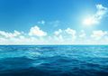 Akibat Meningkatnya Suhu Laut, Hewan Ini Semakin 'Berisik'