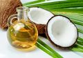 Cobalah Sikat Gigi dengan Miyak Kelapa, Ini yang Akan Terjadi Pada Gigi Anda