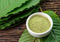 Kratom , Obat Herbal Yang Sering Disalahgunakan Oleh Pecandu