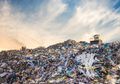 Bank Sampah Berperan dalam Menangani Masalah Sampah Plastik, Bagaimana Memaksimalkannya?