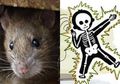 7 Orang Meninggal Dunia di Ngawi Gara-gara Petani Pasang Jebakan Tikus yang Dialiri Listrik