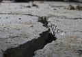 Selama 16 Hari, Sulawesi Barat Diguncang 636 Kali Gempa Tektonik