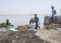 Memotret Sosok-Sosok Inspiratif di Pantura (1): Garap Rumput Laut Untuk Jadi Bandeng
