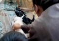 Kambingnya Lahirkan Makhluk 'Setengah Babi Setengah Manusia', Petani Ini Takut Akan Jadi Kutukan