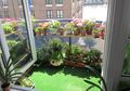 Tiga Kunci Sukses agar Tak Gagal Berkebun di Rumah