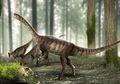 Macrocollum itaquii, Dinosaurus Vegetarian yang Ditemukan di Brasil