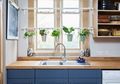 Bisa Gunakan Pipa PVC Bahkan Rak di Rumah, Begini 6 Inspirasi Berkebun Tanaman Herbal di Dapur!