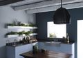 Berbagi IDEA 6 Tips Berkebun Tanaman Herbal di Dapur, Bisa Gunakan Pipa PVC!