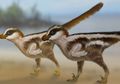 Jejak Kaki Bercabang, Dinosaurus Terkecil yang Pernah Ditemukan