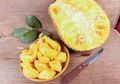 5 Manfaat Buah Nangka yang Bagus untuk Kesehatan Hingga Kecantikan