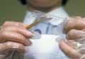 Fakta Mengejutkan Korea Utara, Diam-diam Memiliki Obat HIV dan Ebola Namun Menyembunyikannya dari Dunia