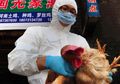 Virus Corona Saja Sudah Bikin Repot, Mendadak Kasus Flu Burung Pertama Kembali Ditemukan di China, Dunia Langsung Ngamuk Pas Lihat Kondisi Pasien Itu