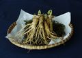 Rutin Konsumsi Teh Ginseng, Rasakan 6 Manfaat Kesehatan Ini!