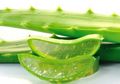 Sembuhkan Penyakit Kulit Dermatitis Atopik Dengan 5 Bahan Alami Ini
