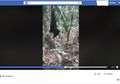 Rumahnya Dipenuhi Belatung dan Berbau Busuk, Ternyata Ada Ribuan Hewan Mati di Halaman Rumahnya