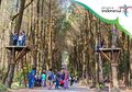 Hutan Pinus yang Instagram-able Itu Bernama Pinusan Kragilan