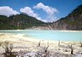 Mengunjungi Bandung? Jangan Lupa Mampir ke Desa Wisata di Ciwidey