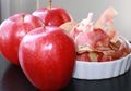 Cara Kreatif Mengolah Sampah di Dapur agar Jadi Lebih Bermanfaat