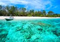 Bagaimana Laut Menyembuhkan Dirinya Sendiri Selama Pandemi?