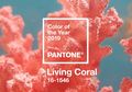 Pantone Pilih Warna 'Living Coral' Sebagai Warna di Tahun 2019!