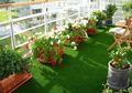 Tak Punya Lahan Bukan Alasan Tak Bisa Berkebun, Manfaatkan Saja Teras atau Balkon
