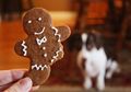 Mengapa Kue Jahe yang Berbentuk Pria Selalu Ada di Hari Natal? Ternyata Begini Sejarahnya