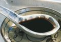 Hadapi Corona; Kecap dan Makanan Lainnya Ini Awet Sepanjang Masa
