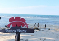 Pengembangan Kawasan Tanjung Lesung Sebagai Kawasan Ekonomi Khusus