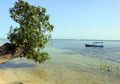 Tujuh Pulau yang Wajib Anda Kunjungi di Kepulauan Seribu