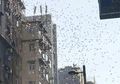 Heboh Hujan Uang di Hong Kong, Ternyata Begini Kronologi dan Infonya!